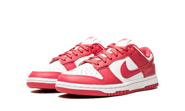 Dunk - Archeo Pink