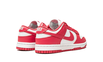 Dunk - Archeo Pink